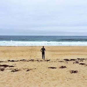 Meet your Posher, Torin